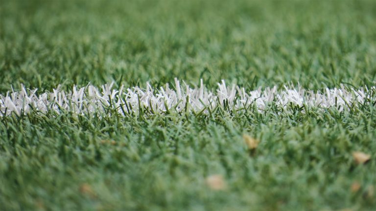 Football Line On Grass